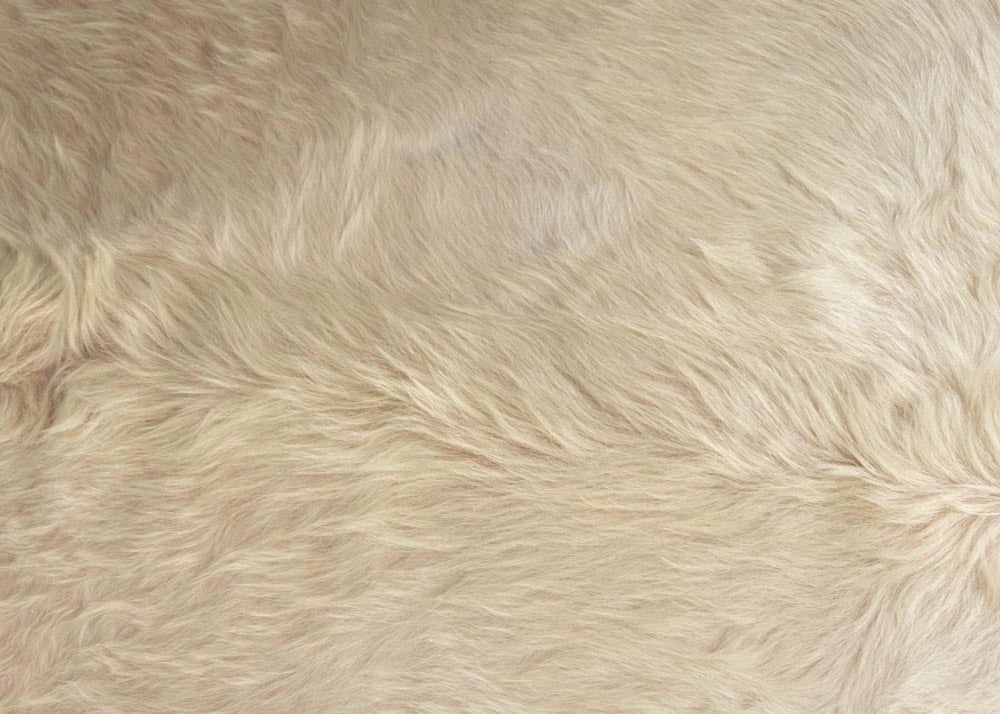 cowhide rug
