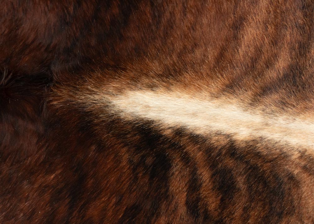 cowhide rug