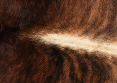 cowhide rug
