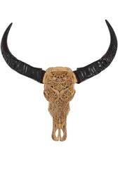 Authentic Antique Beige Hand Carved Buffalo Skull