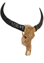 Authentic Antique Beige Hand Carved Buffalo Skull