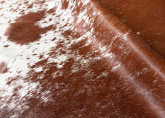 cowhide rug