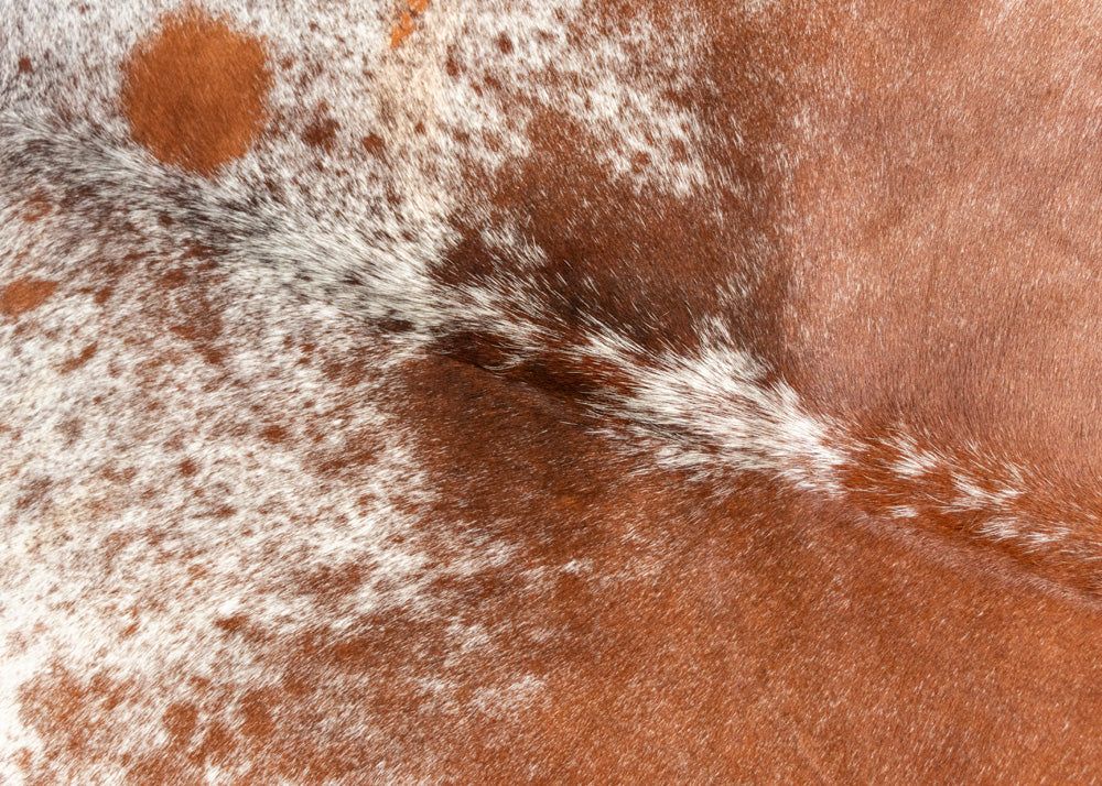 cowhide rug