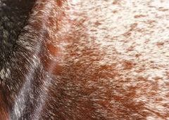 cowhide rug
