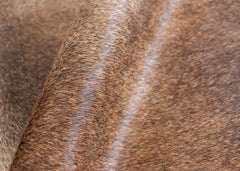 cowhide rug