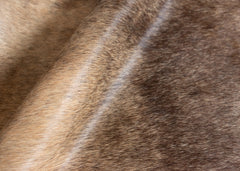 cowhide rug