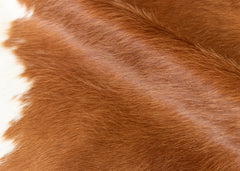 cowhide rug