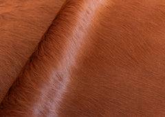 cowhide rug