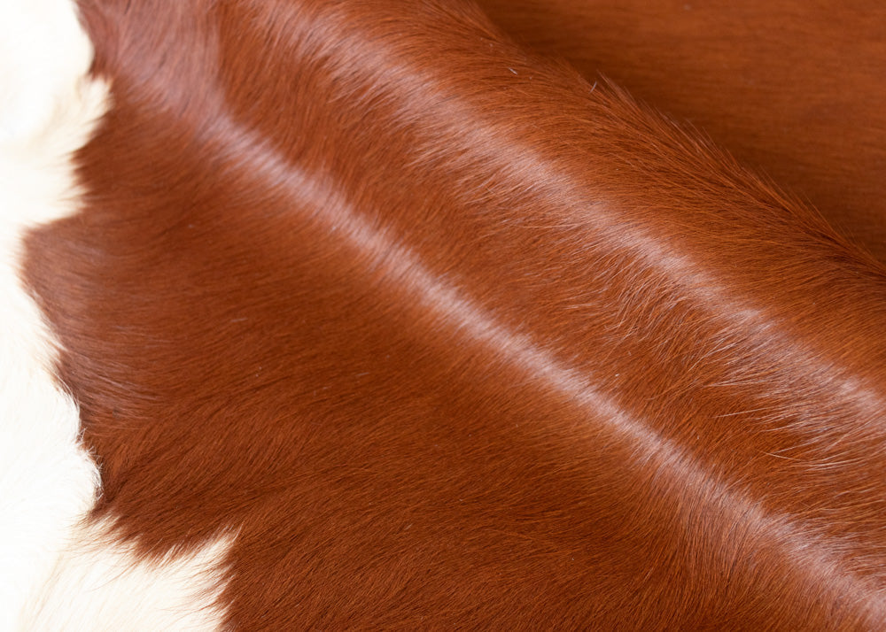 cowhide rug