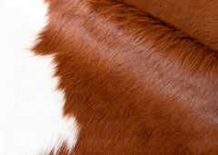 cowhide rug