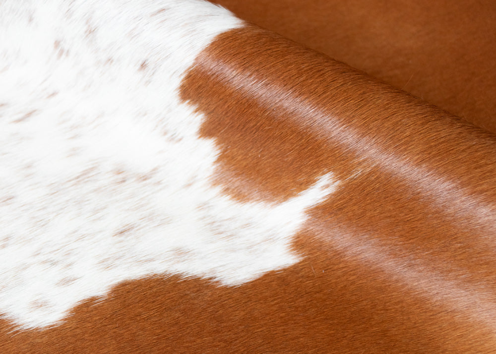 cowhide rug