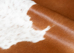cowhide rug