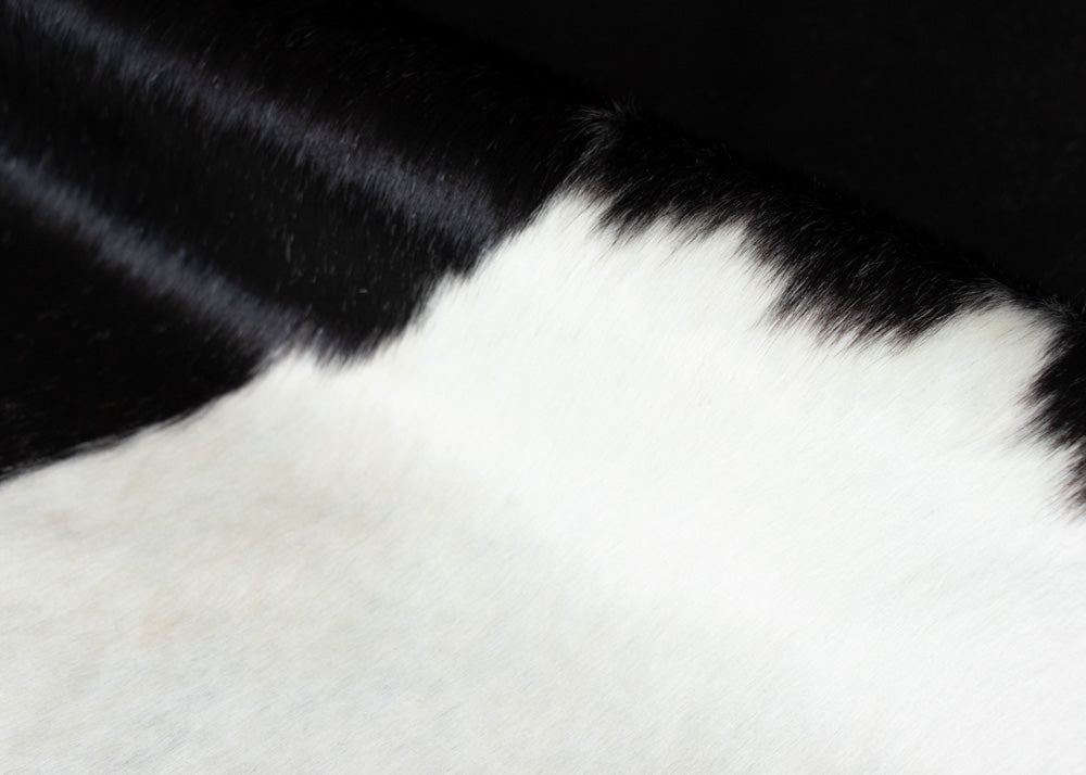 cowhide rug
