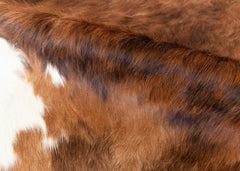 cowhide rug