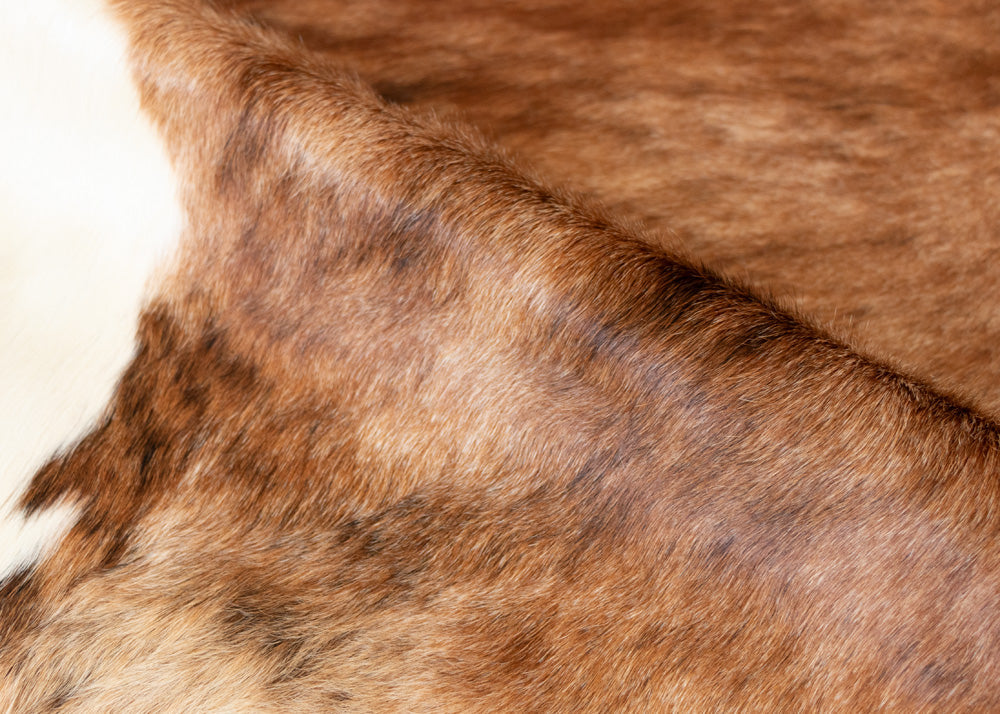 cowhide rug