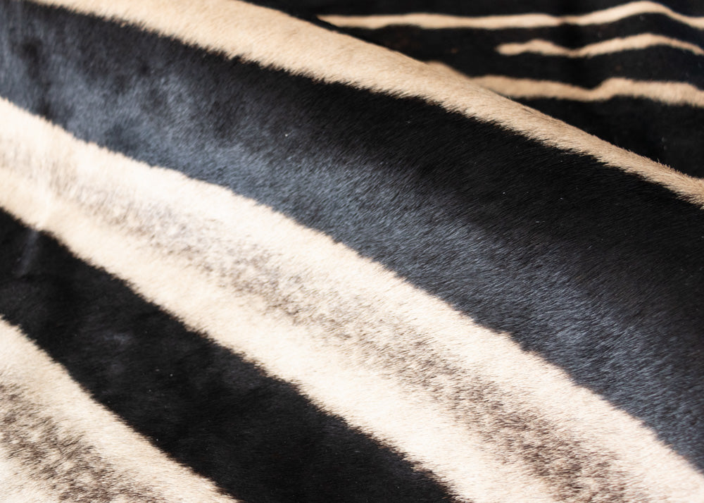 zebra skin rug