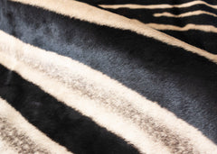 zebra skin rug