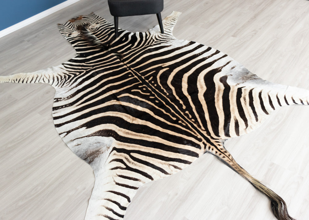 zebra skin rug
