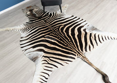 zebra skin rug