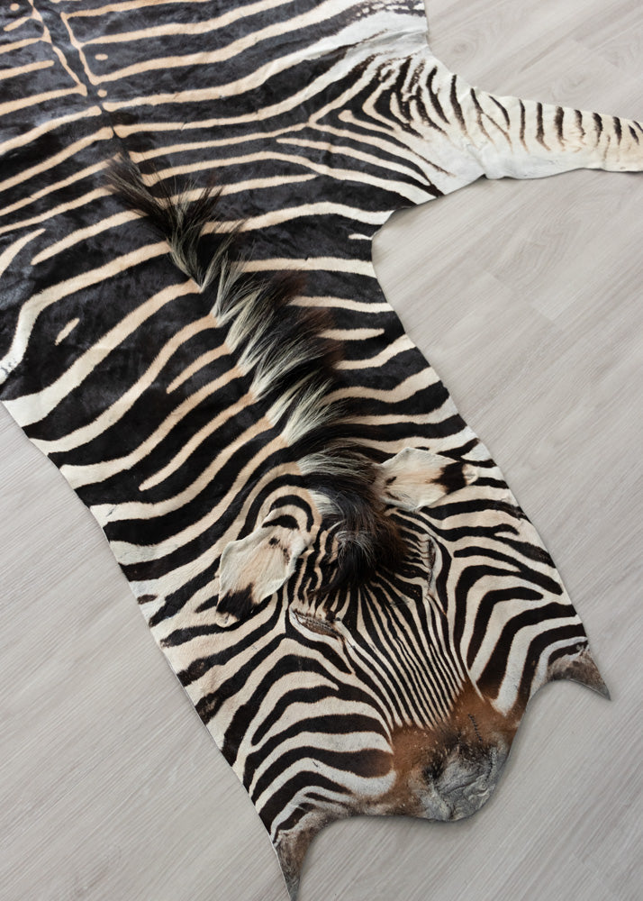 zebra skin rug