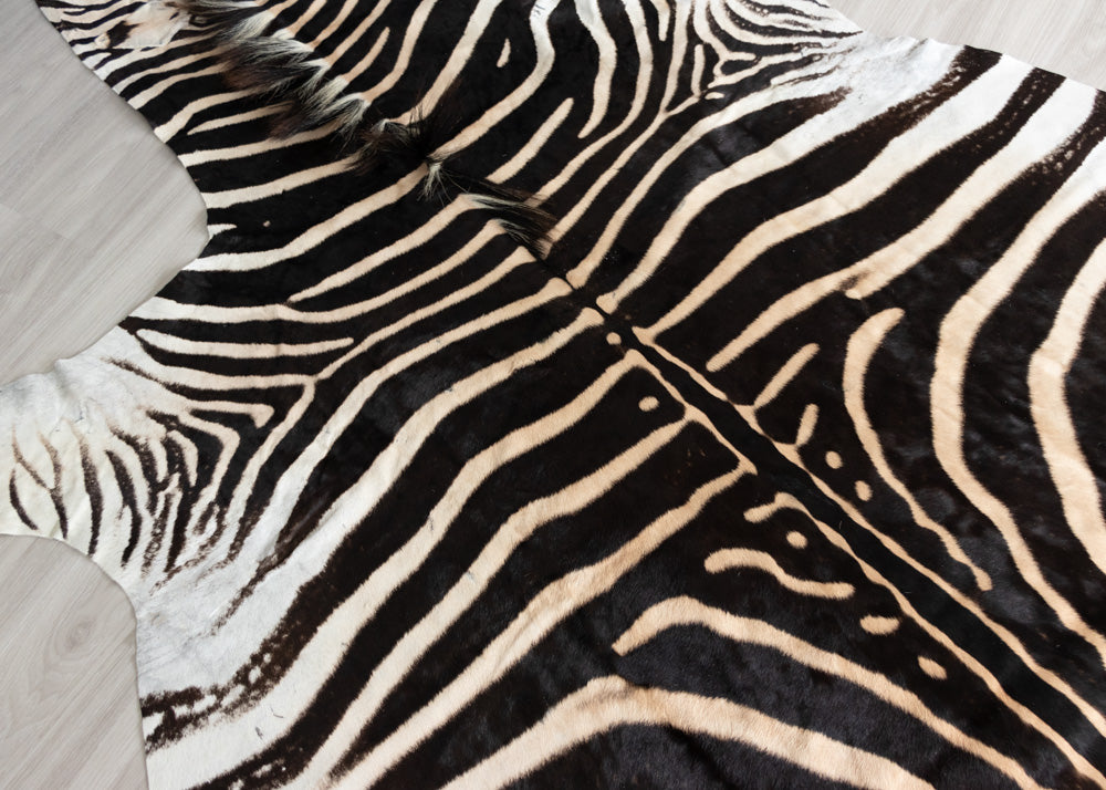 zebra skin rug