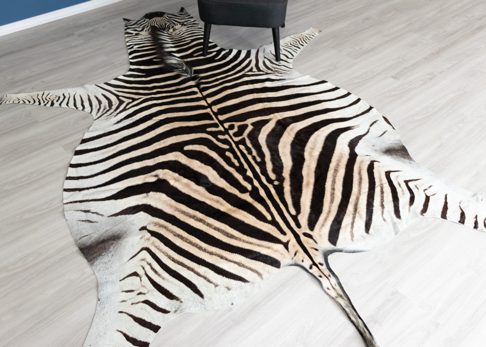 zebra skin rug