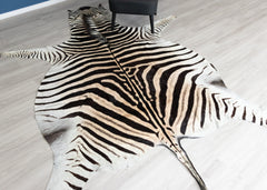 zebra skin rug