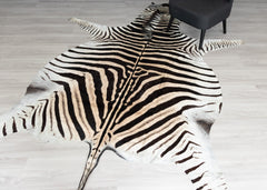 zebra skin rug