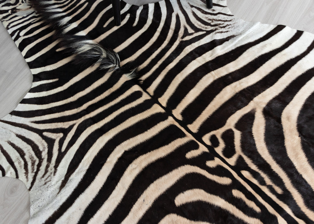 zebra skin rug