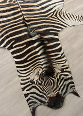 zebra skin rug