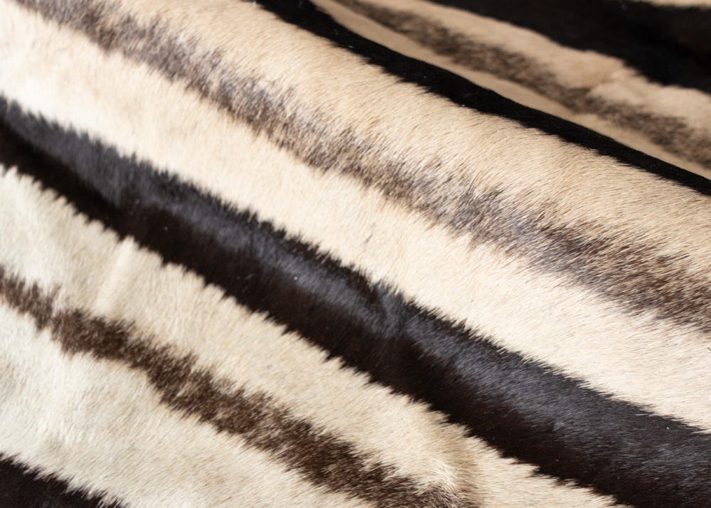 zebra skin rug