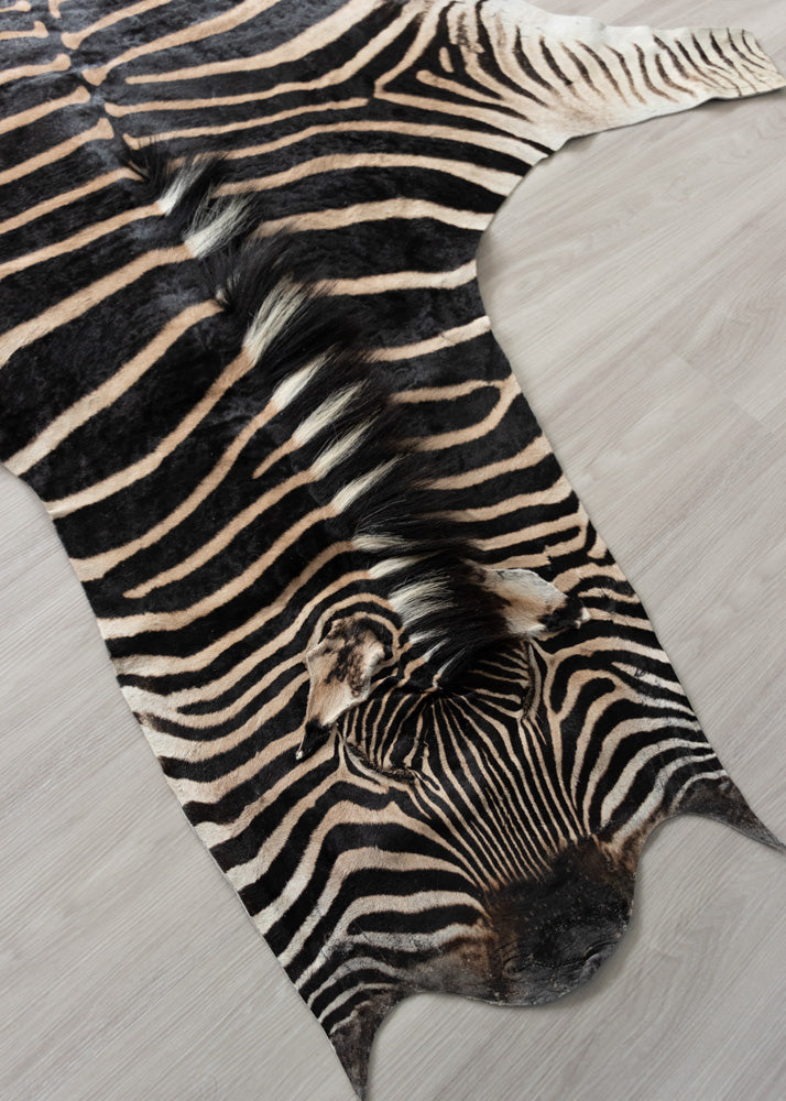 zebra skin rug