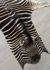 zebra skin rug