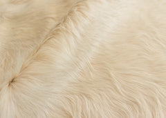 cowhide rug