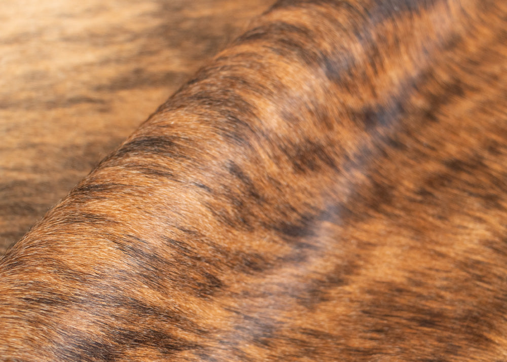 cowhide rug