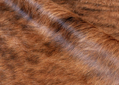 cowhide rug