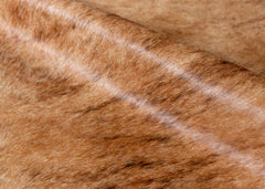 cowhide rug