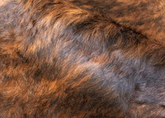 cowhide rug