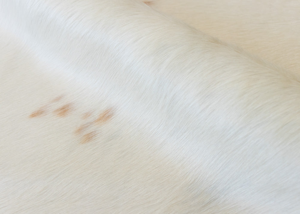 cowhide rug