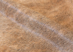 cowhide rug