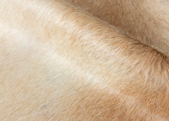 cowhide rug
