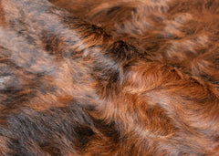 cowhide rug
