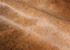 cowhide rug