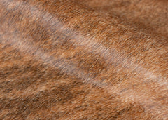 cowhide rug