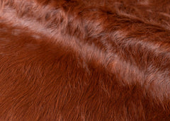 cowhide rug