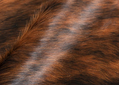 cowhide rug