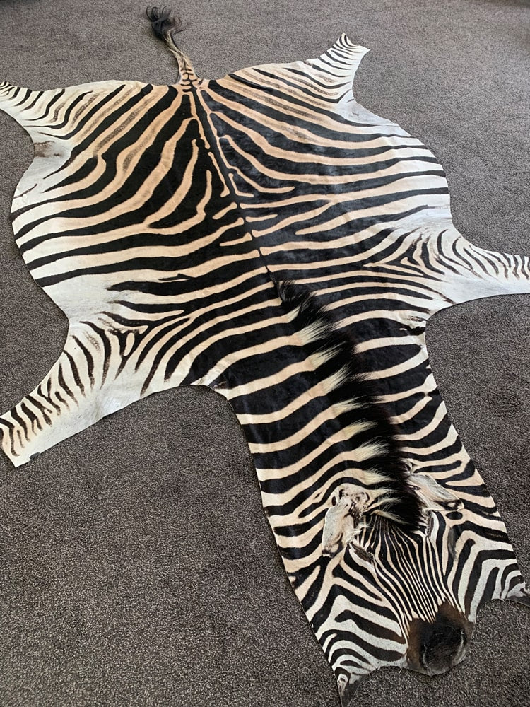 Zebra Skin Rug black and white stripes for living room Australia