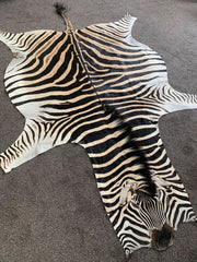 Zebra Skin Rug black and white stripes for living room Australia