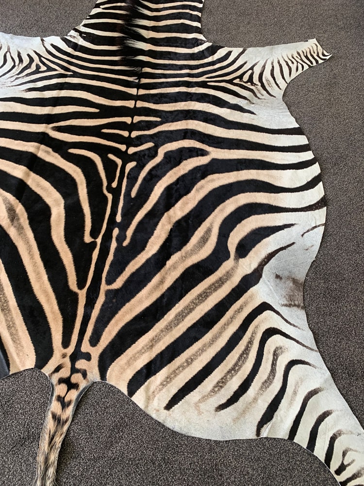 Burchell’s Zebra Skin Rug