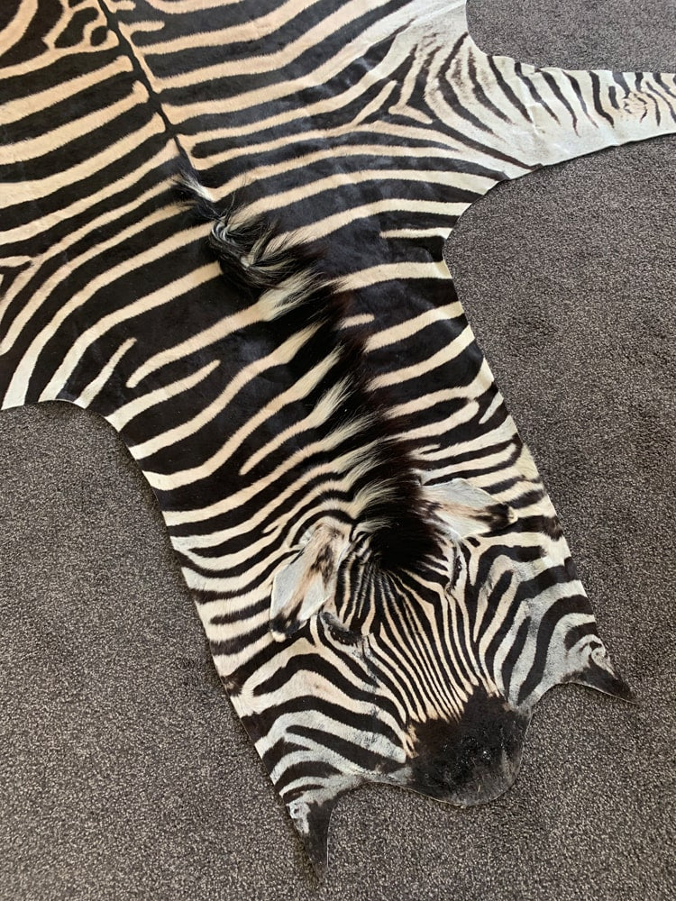 Authentic Zebra Skin Rug natural black and white hide